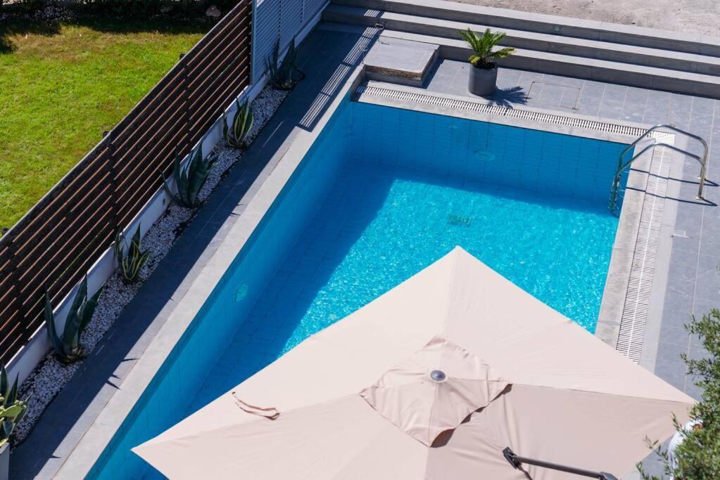 Villa Olion Afytos Dış mekan fotoğraf